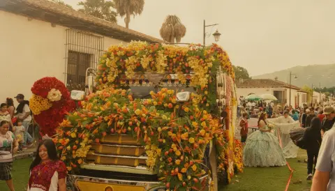 ¡Antigua florece! Anuncian la décima edición del Festival de las Flores 2026