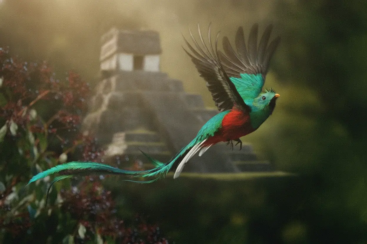 Guatemala Birdwatching Expedition: Un colazo para pajarear entre la naturaleza